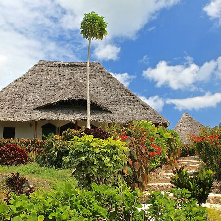 Sazani Beach Lodge And Tidal Lounge Nungwi Eksteriør billede