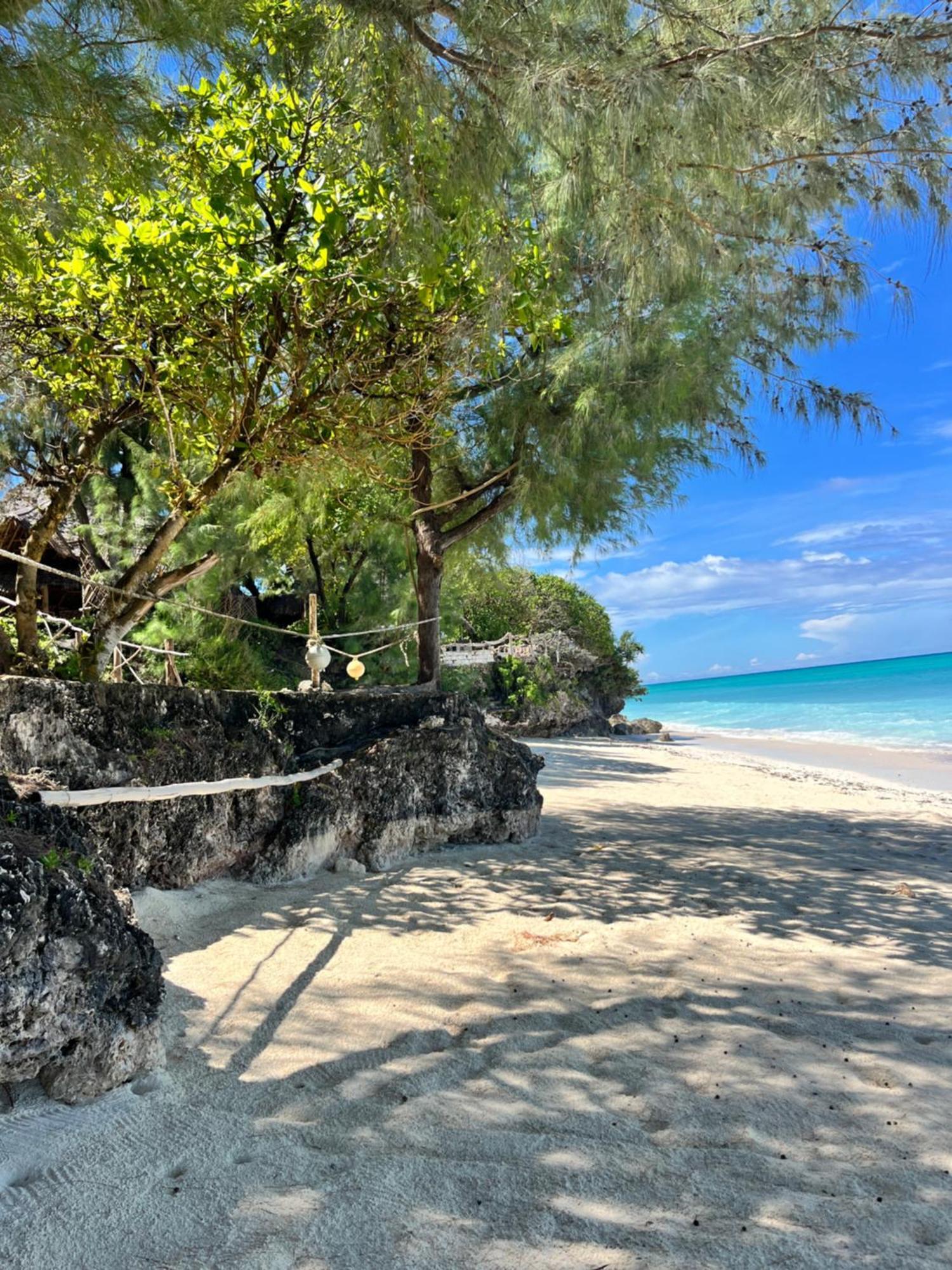 Sazani Beach Lodge And Tidal Lounge Nungwi Eksteriør billede
