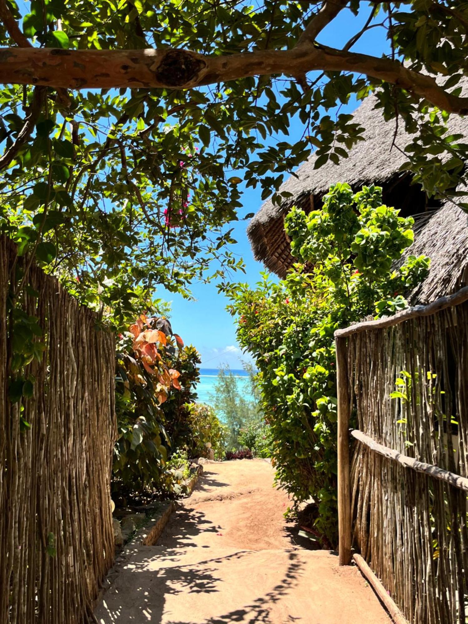 Sazani Beach Lodge And Tidal Lounge Nungwi Eksteriør billede