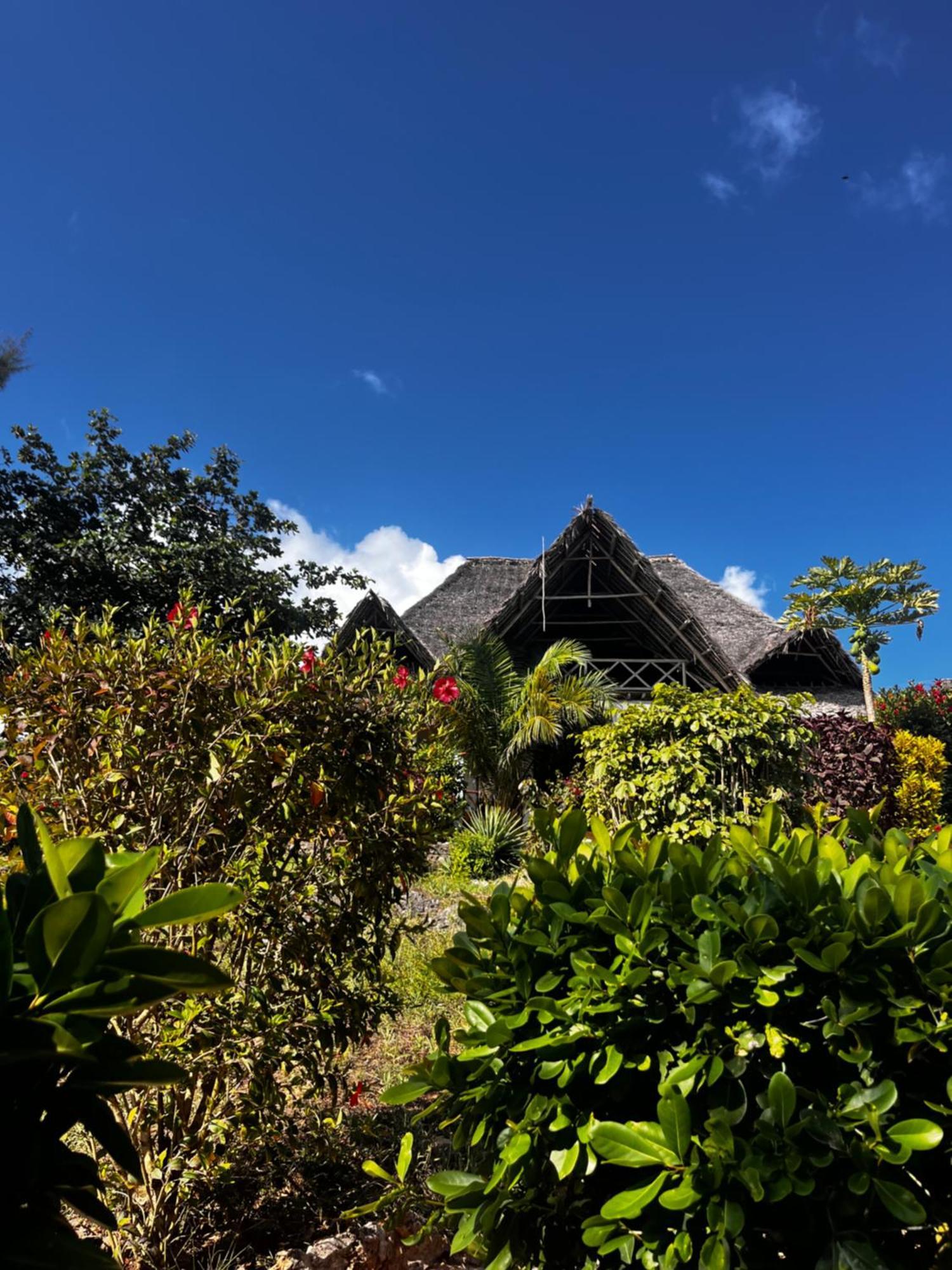 Sazani Beach Lodge And Tidal Lounge Nungwi Eksteriør billede