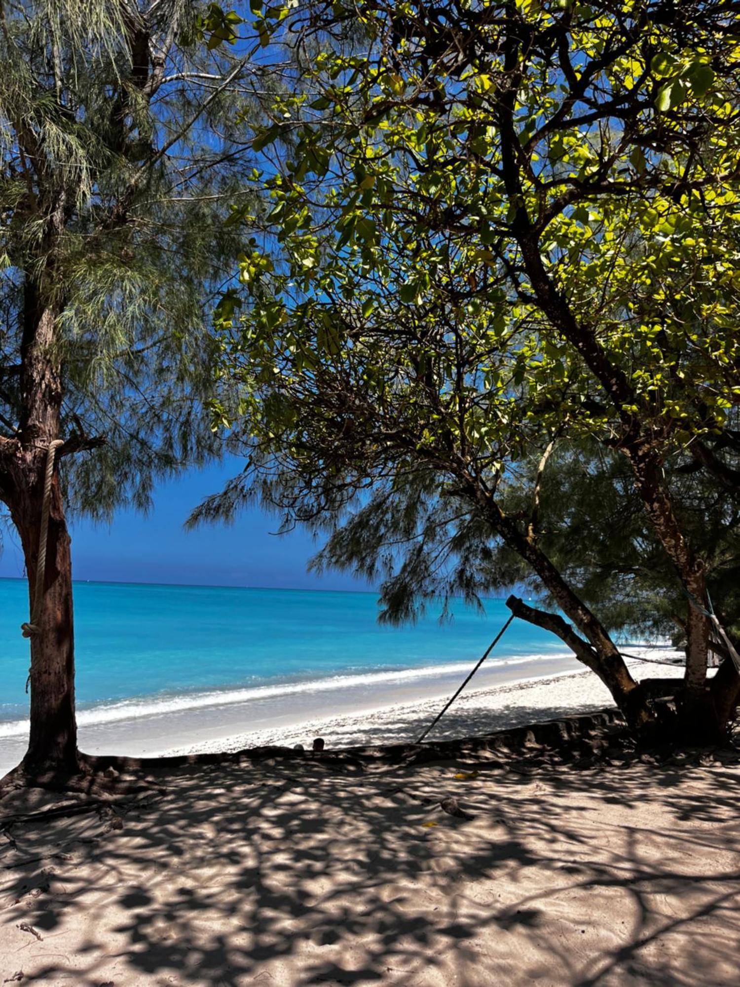 Sazani Beach Lodge And Tidal Lounge Nungwi Eksteriør billede