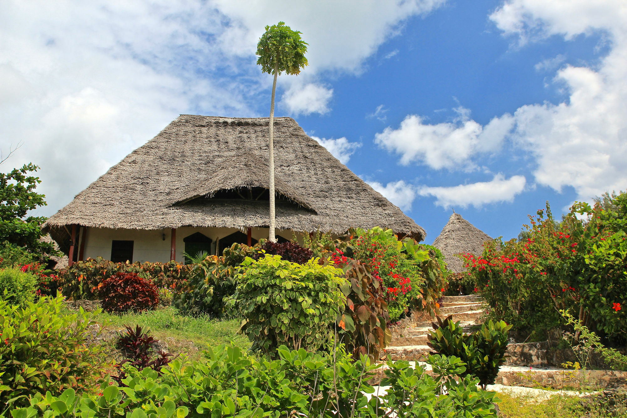 Sazani Beach Lodge And Tidal Lounge Nungwi Eksteriør billede